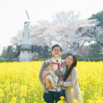 【マタニティフォト】ペットと桜と菜の花と