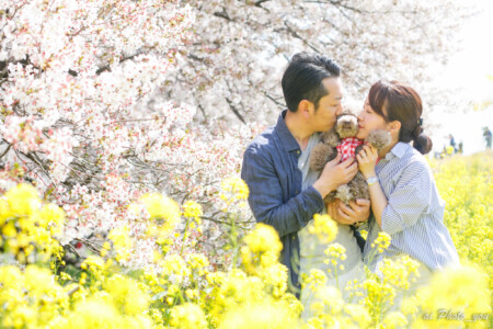 【埼玉】桜の木が2kmも続く熊谷桜堤