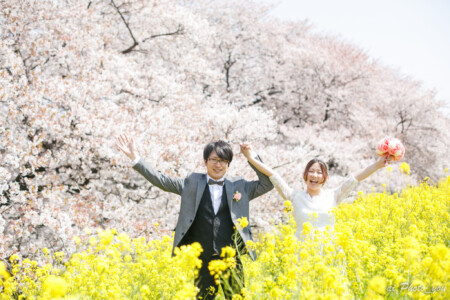 桜の木が2kmも続く熊谷桜堤ってどこにある?