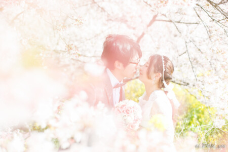 【埼玉】桜の木が2kmも続く熊谷桜堤