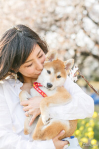 【埼玉】桜の木が2kmも続く熊谷桜堤